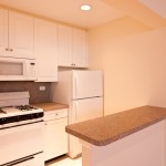 1BDR Kitchen